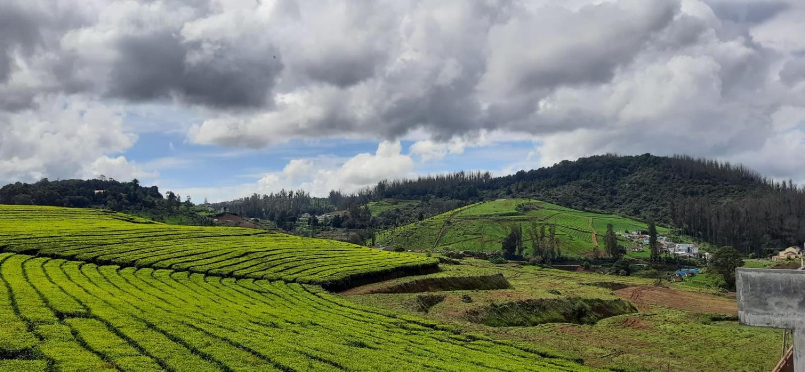 Rose Garden Enclave For Families & Executives Bed & Breakfast Ooty Exterior photo